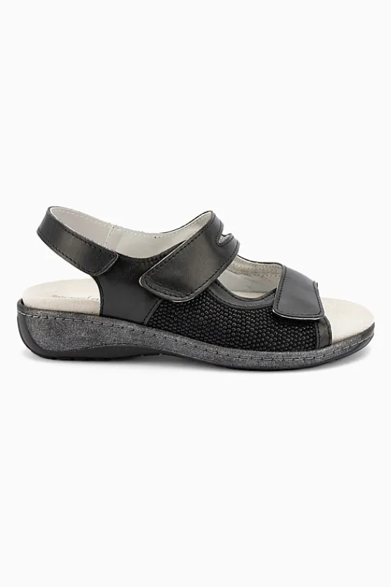 Klouds Arta 37901 Best