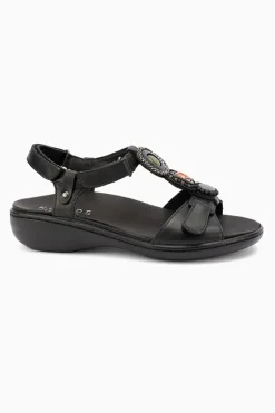 Klouds Aurora Outlet