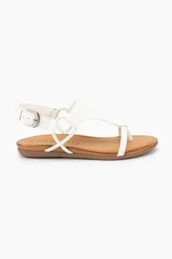 Gino Ventori Classic New