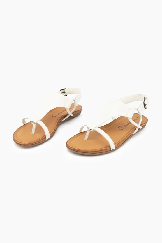 Gino Ventori Classic New