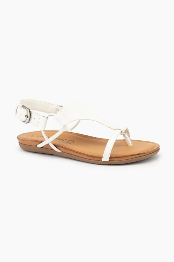 Gino Ventori Classic New