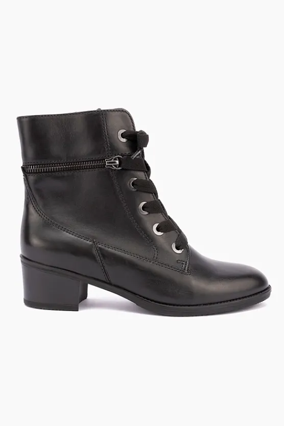 Gino Ventori Coventry Black Fashion