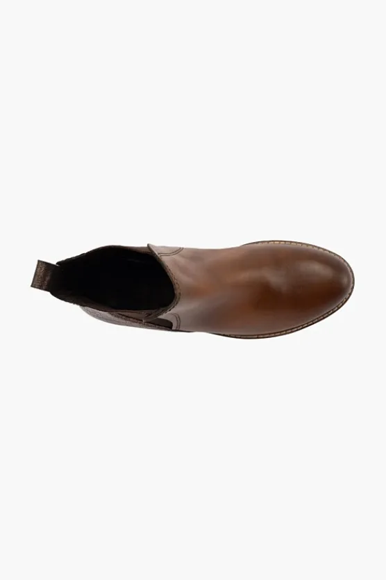 Gino Ventori Earth Cognac New