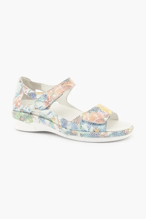 Klouds Elodie Multi Online