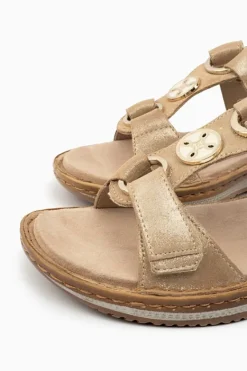 Ara Hawaii 29003 Best