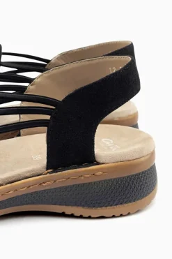 Ara Hawaii 29005 New