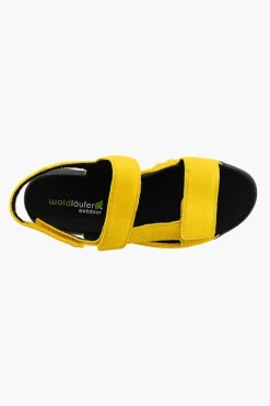 Waldlaufer Kalmit 745003 Discount