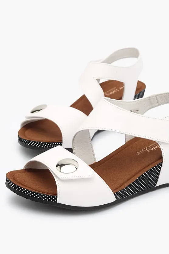 Silver Lining Kylie Polka New