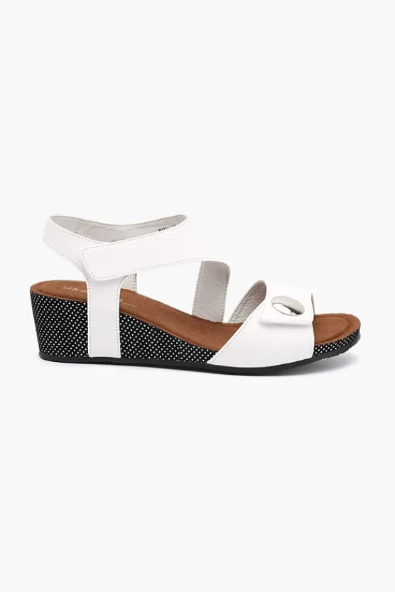 Silver Lining Kylie Polka New