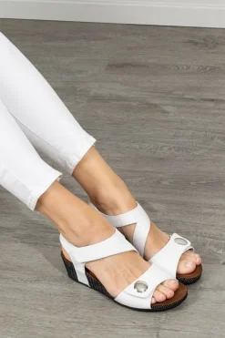 Silver Lining Kylie Polka New