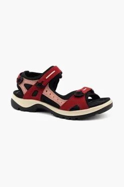 ECCO Offroad Sandal Ladies 69563 New
