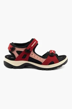 ECCO Offroad Sandal Ladies 69563 New