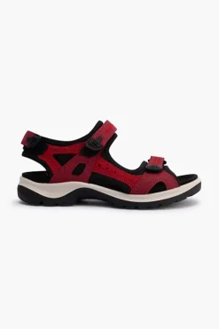 ECCO Offroad Sandal Ladies 69563 New