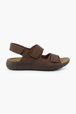 IMAC Palmer 552731 Brown Fashion