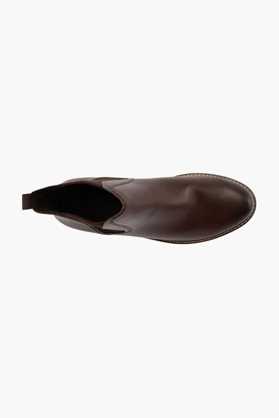 Gino Ventori Pecan Outlet