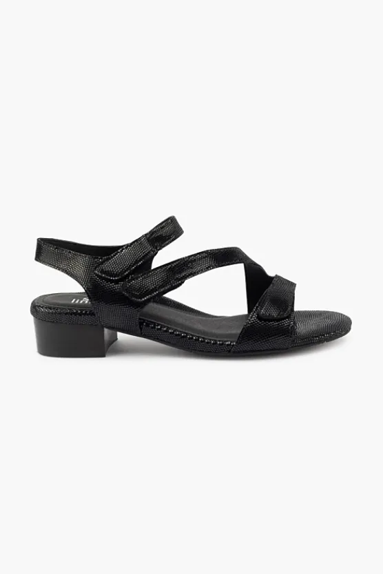 Silver Lining Quill BlackSparkle Fashion