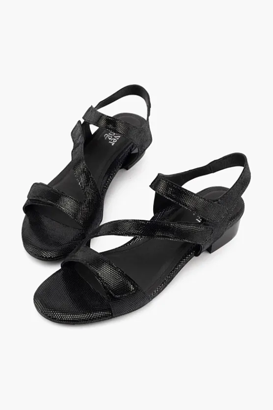 Silver Lining Quill BlackSparkle Fashion