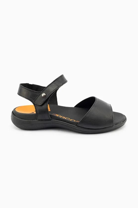 Arcopedico Rapa Nui Online