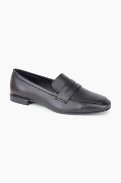 Gino Ventori Regal Black Online