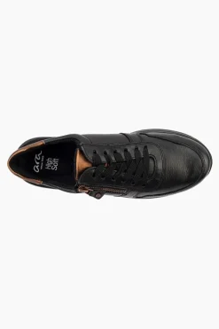 Ara Sapporo 32440 New
