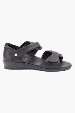 Klouds Tara New