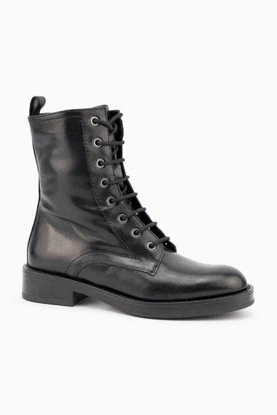 Gino Ventori Thyme Black Hot