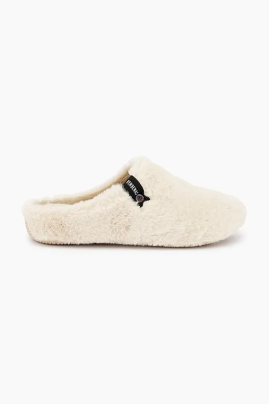 Verbenas York New