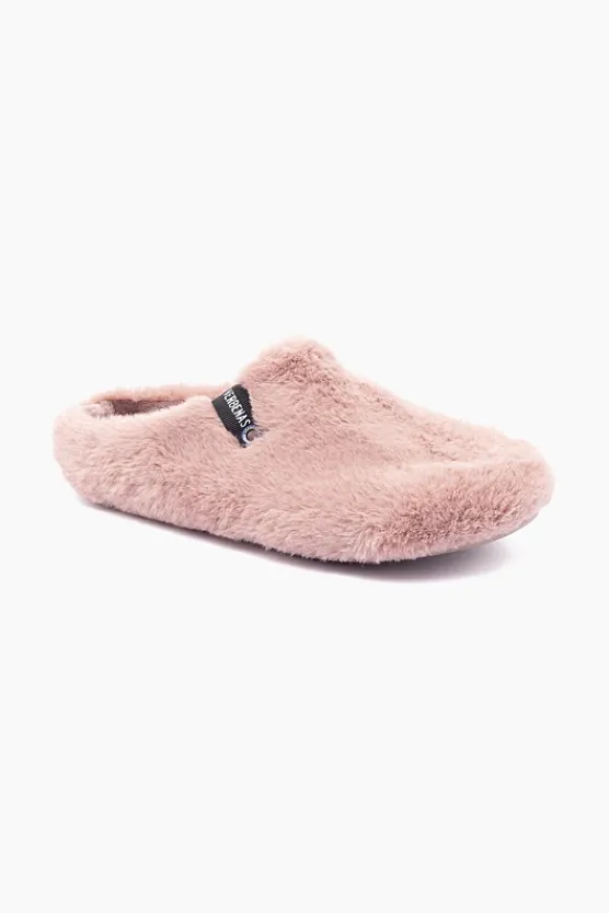Verbenas York New