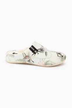 Verbenas York New