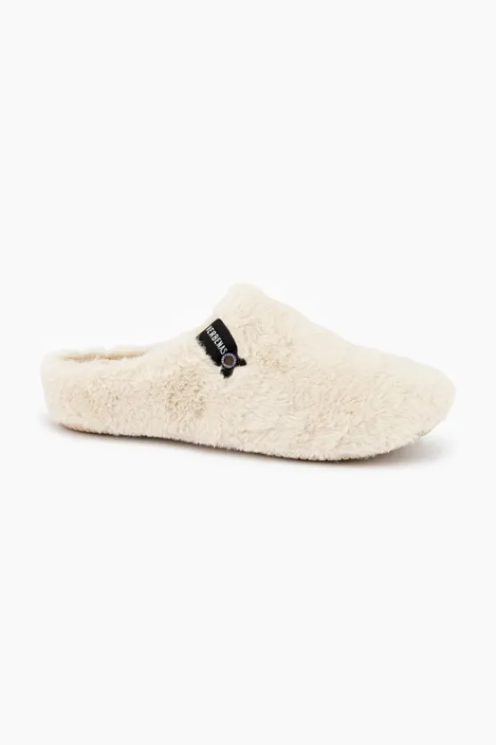 Verbenas York New
