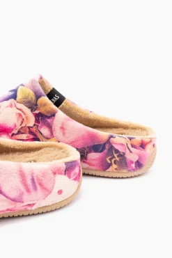 Verbenas York New